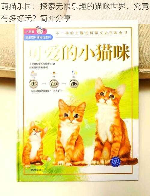 萌猫乐园：探索无限乐趣的猫咪世界，究竟有多好玩？简介分享