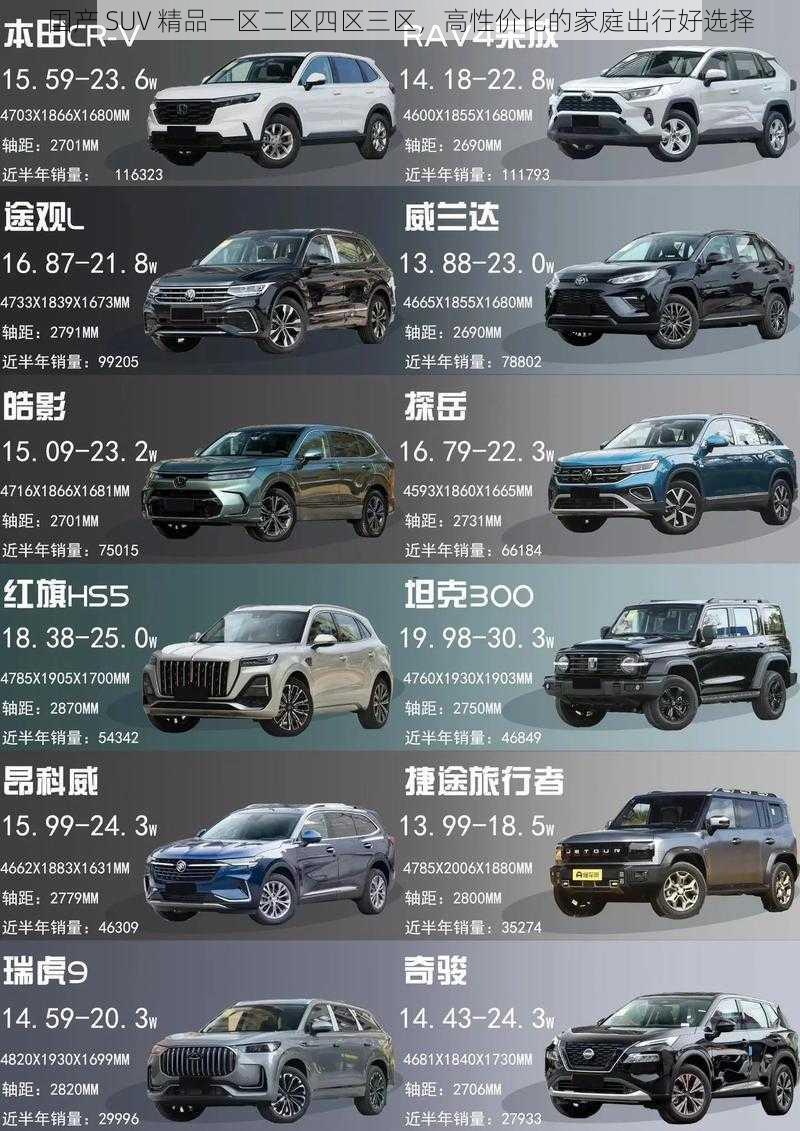 国产 SUV 精品一区二区四区三区，高性价比的家庭出行好选择