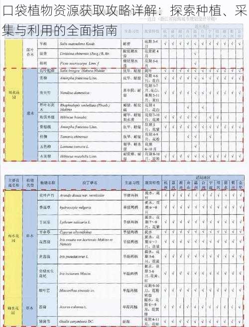 口袋植物资源获取攻略详解：探索种植、采集与利用的全面指南