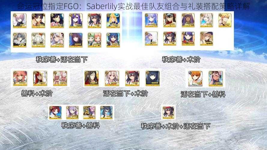 命运冠位指定FGO：Saberlily实战最佳队友组合与礼装搭配策略详解