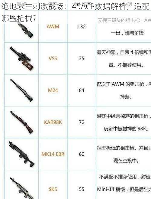 绝地求生刺激战场：45ACP数据解析，适配哪些枪械？