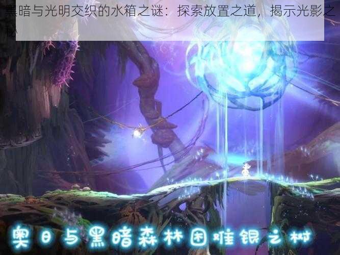 黑暗与光明交织的水箱之谜：探索放置之道，揭示光影之秘