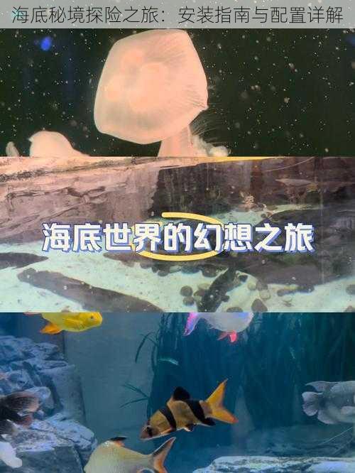 海底秘境探险之旅：安装指南与配置详解