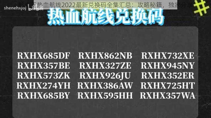 航海王热血航线2022最新兑换码全集汇总：攻略秘籍，独家分享