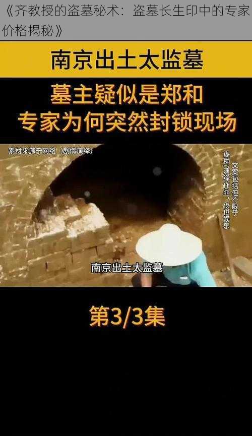 《齐教授的盗墓秘术：盗墓长生印中的专家价格揭秘》