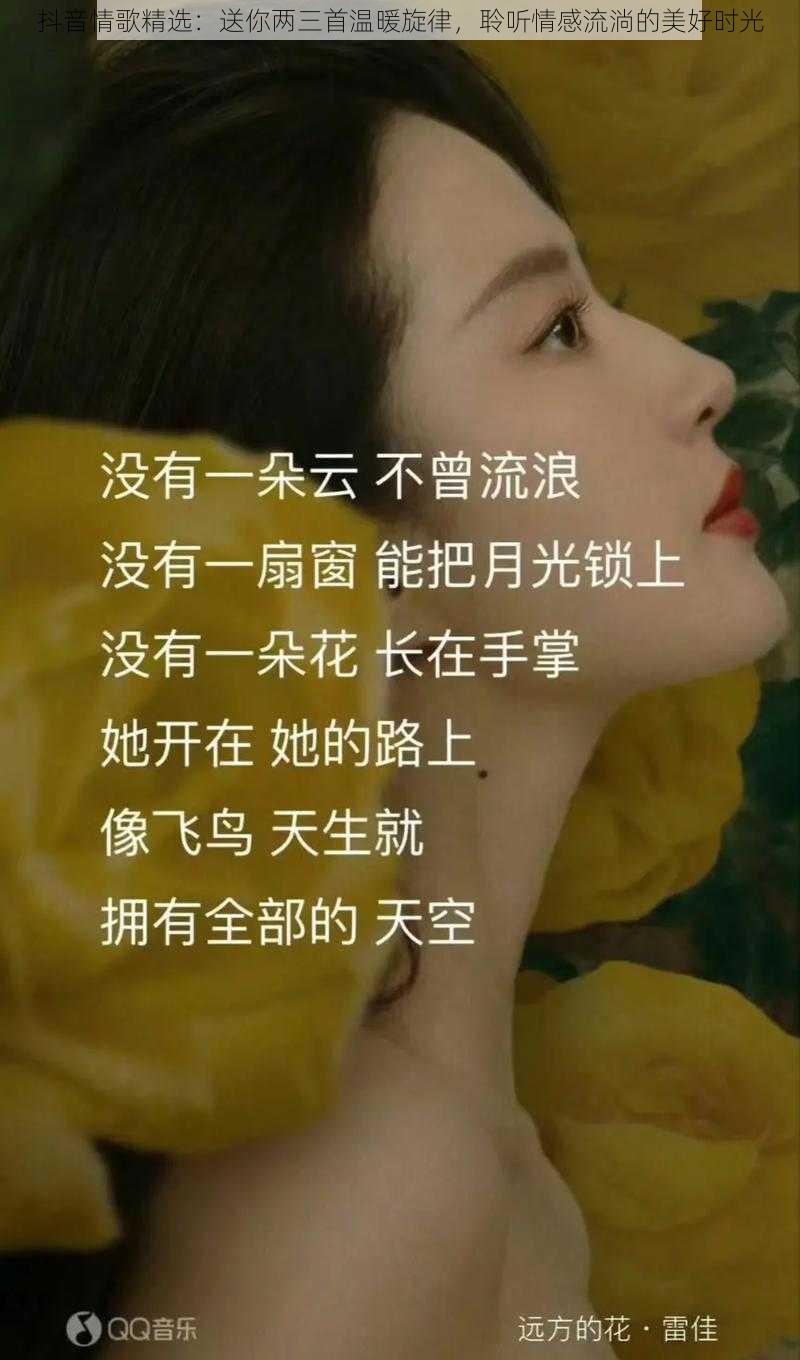 抖音情歌精选：送你两三首温暖旋律，聆听情感流淌的美好时光