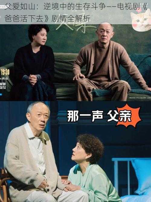 父爱如山：逆境中的生存斗争——电视剧《爸爸活下去》剧情全解析