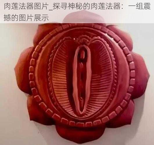 肉莲法器图片_探寻神秘的肉莲法器：一组震撼的图片展示