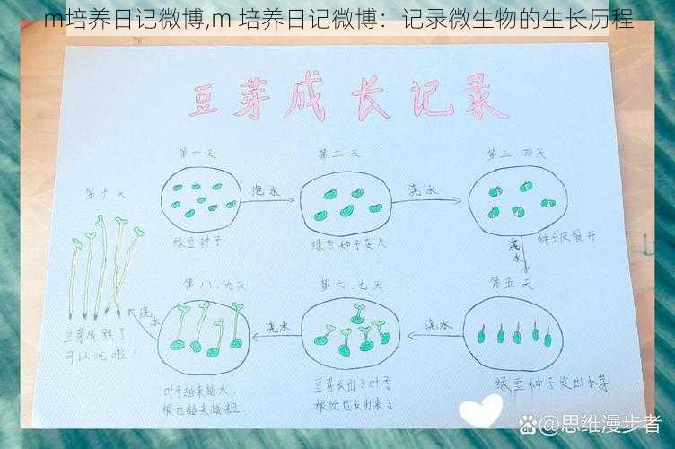 m培养日记微博,m 培养日记微博：记录微生物的生长历程