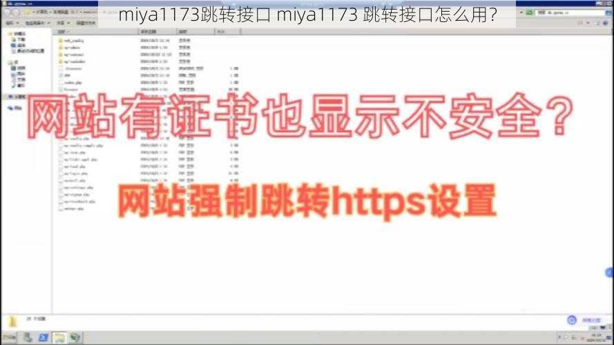 miya1173跳转接口 miya1173 跳转接口怎么用？