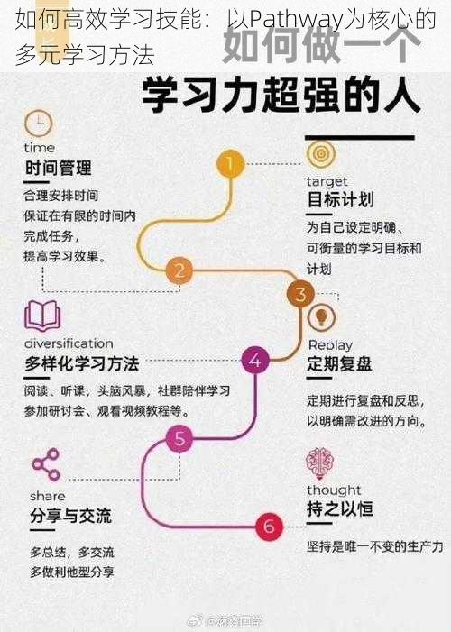 如何高效学习技能：以Pathway为核心的多元学习方法