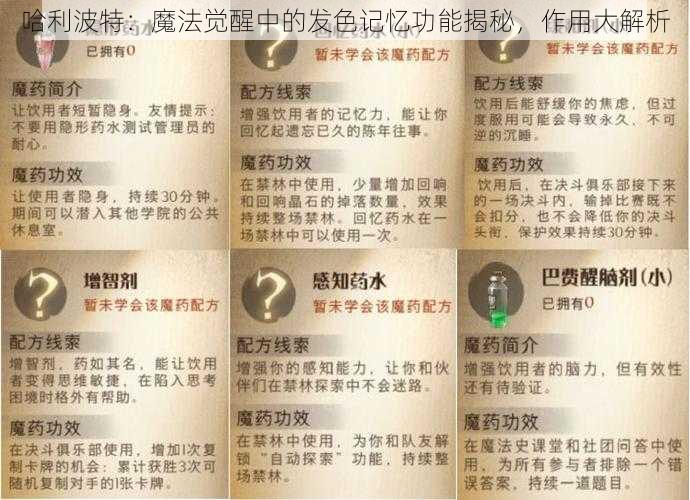 哈利波特：魔法觉醒中的发色记忆功能揭秘，作用大解析