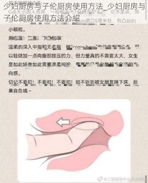 少妇厨房与子伦厨房使用方法_少妇厨房与子伦厨房使用方法介绍