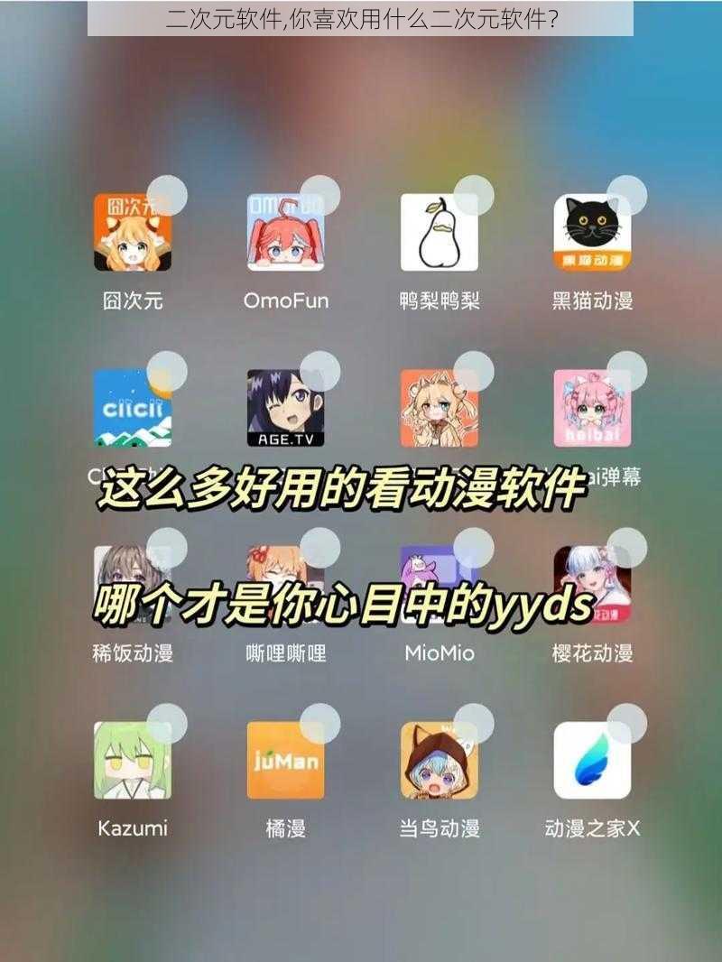 二次元软件,你喜欢用什么二次元软件？