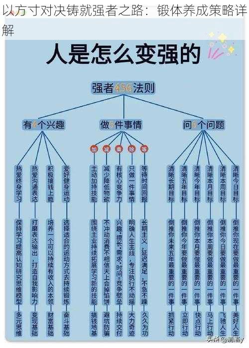 以方寸对决铸就强者之路：锻体养成策略详解