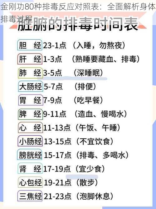 金刚功80种排毒反应对照表：全面解析身体排毒过程