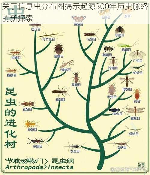 关于信息虫分布图揭示起源300年历史脉络的新探索