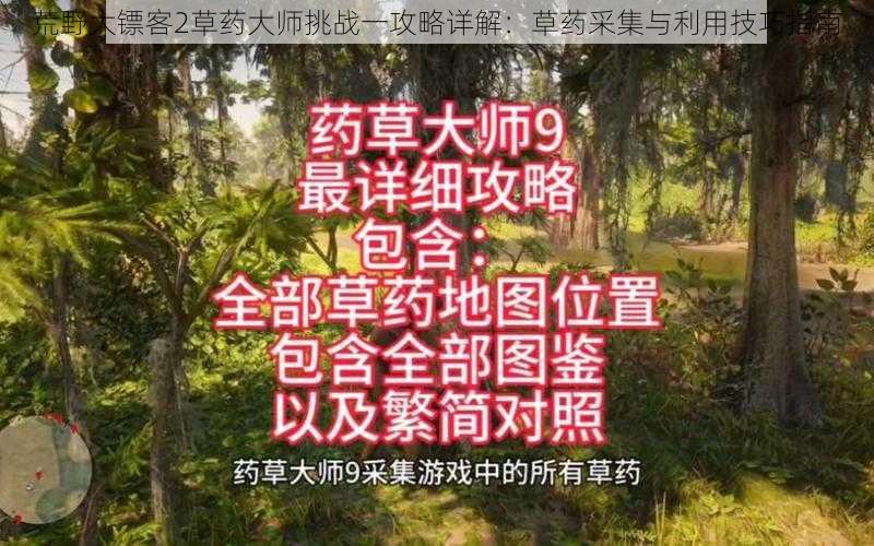 荒野大镖客2草药大师挑战一攻略详解：草药采集与利用技巧指南