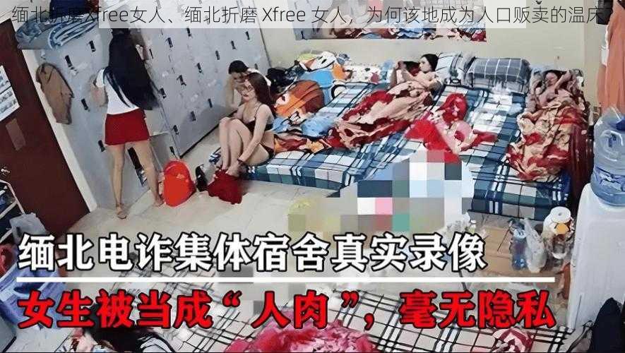 缅北折磨Xfree女人、缅北折磨 Xfree 女人，为何该地成为人口贩卖的温床？