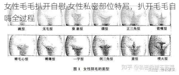 女性毛毛扒开自慰 女性私密部位特写，扒开毛毛自嗨全过程