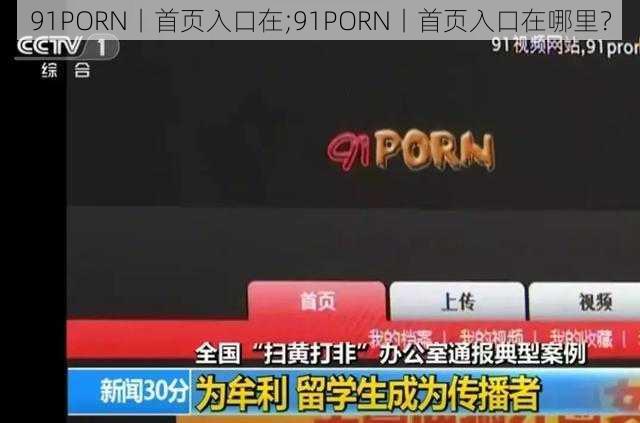 91PORN丨首页入口在;91PORN丨首页入口在哪里？