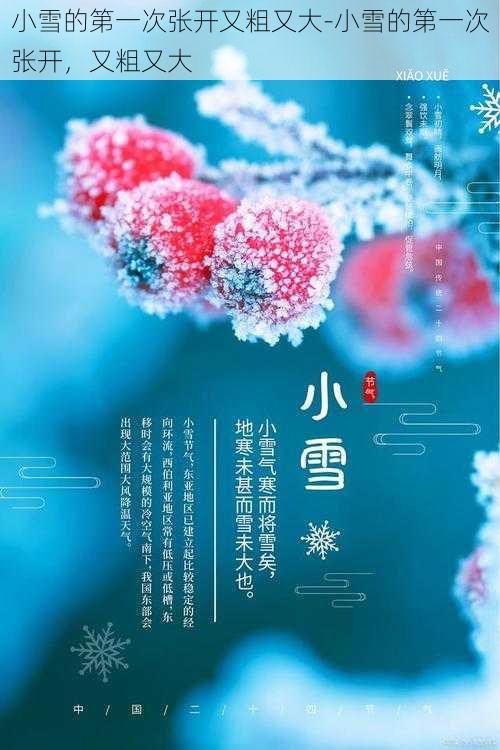 小雪的第一次张开又粗又大-小雪的第一次张开，又粗又大