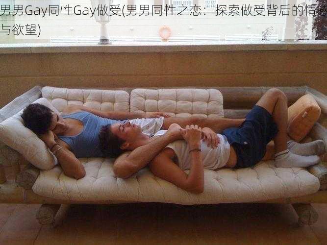 男男Gay同性Gay做受(男男同性之恋：探索做受背后的情感与欲望)