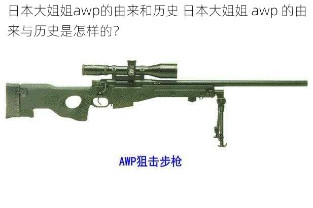 日本大姐姐awp的由来和历史 日本大姐姐 awp 的由来与历史是怎样的？