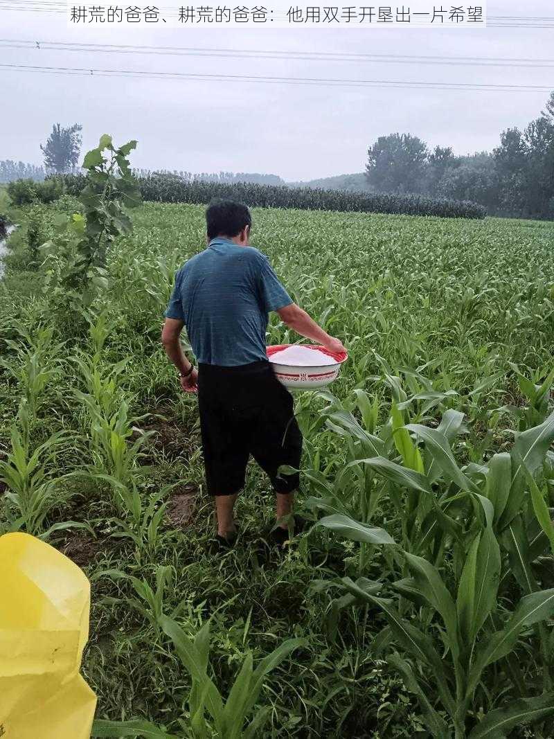 耕荒的爸爸、耕荒的爸爸：他用双手开垦出一片希望