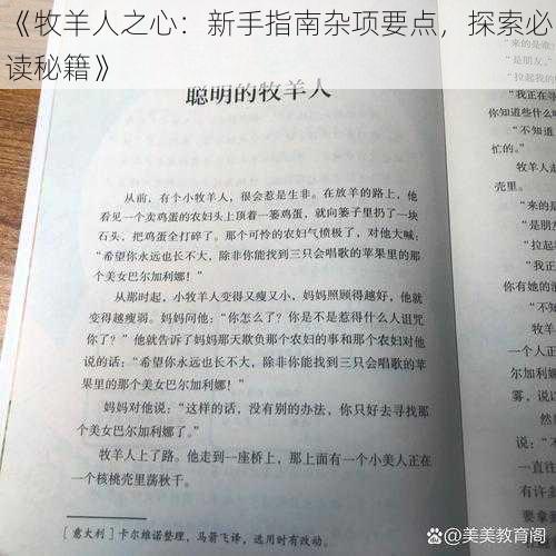 《牧羊人之心：新手指南杂项要点，探索必读秘籍》