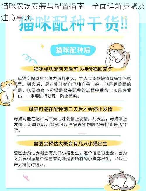 猫咪农场安装与配置指南：全面详解步骤及注意事项