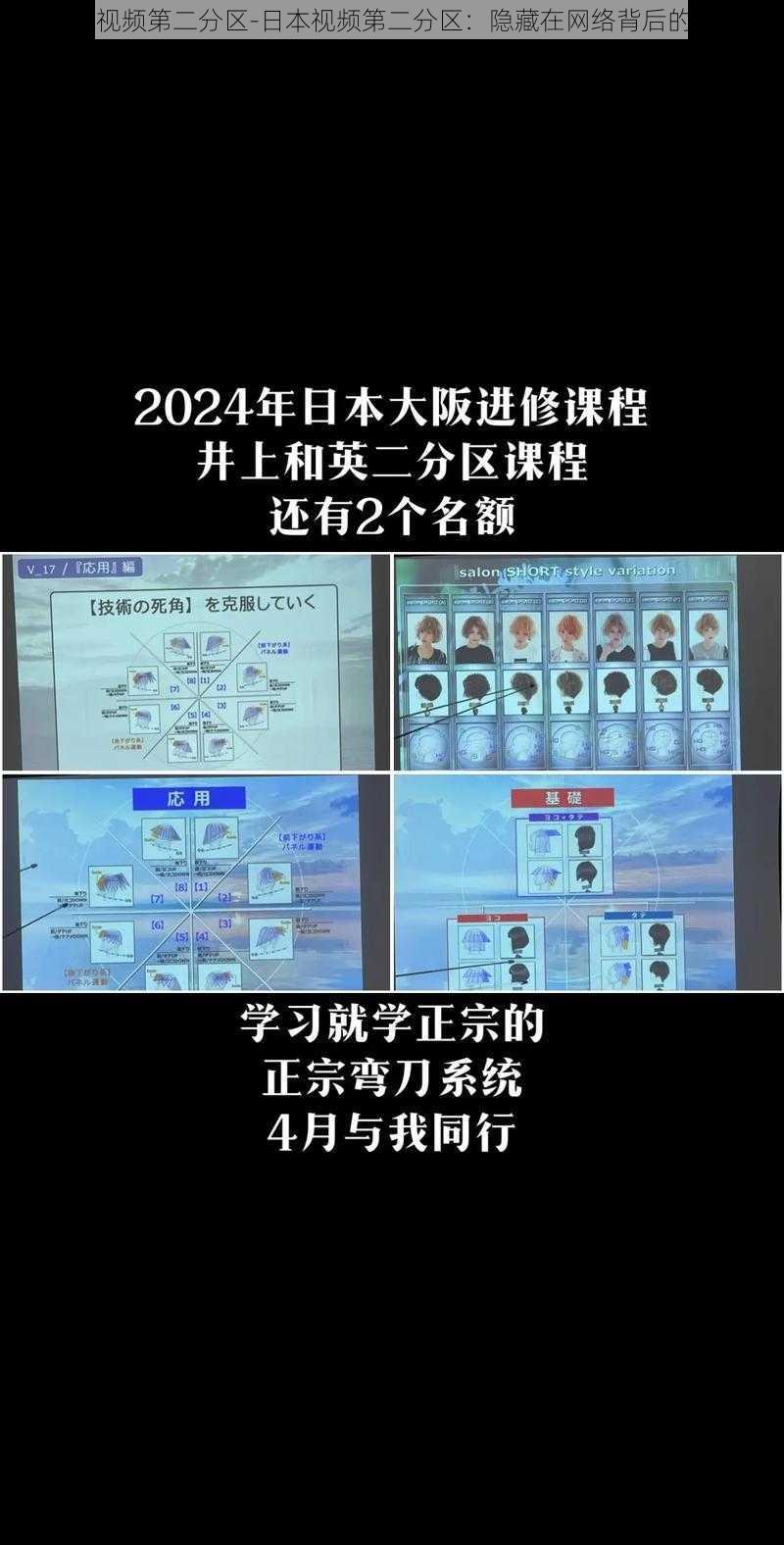 日本视频第二分区-日本视频第二分区：隐藏在网络背后的世界