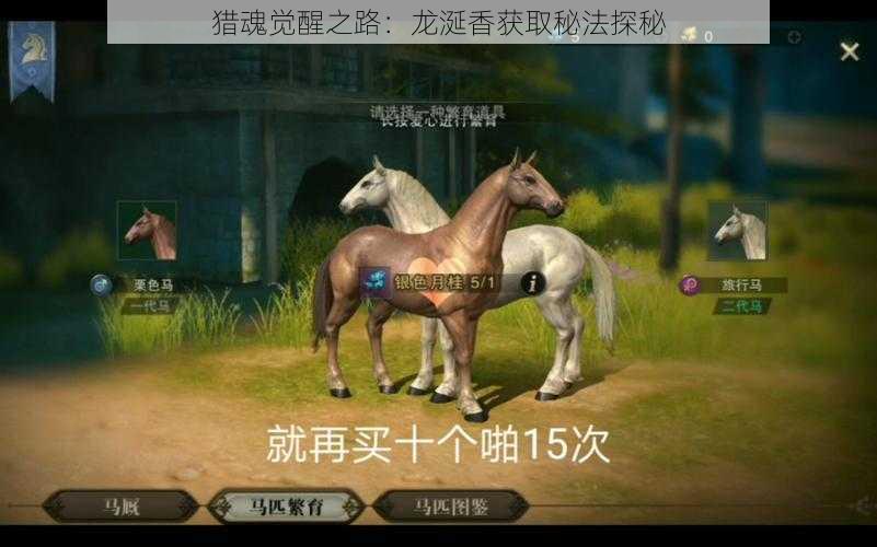 猎魂觉醒之路：龙涎香获取秘法探秘