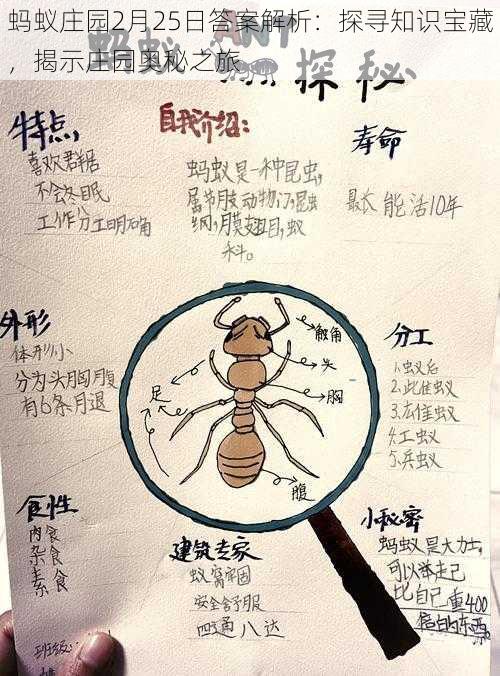 蚂蚁庄园2月25日答案解析：探寻知识宝藏，揭示庄园奥秘之旅