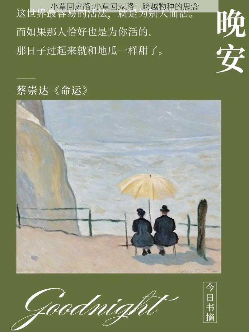 小草回家路;小草回家路：跨越物种的思念