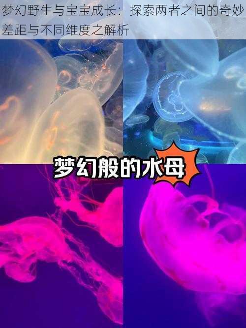 梦幻野生与宝宝成长：探索两者之间的奇妙差距与不同维度之解析