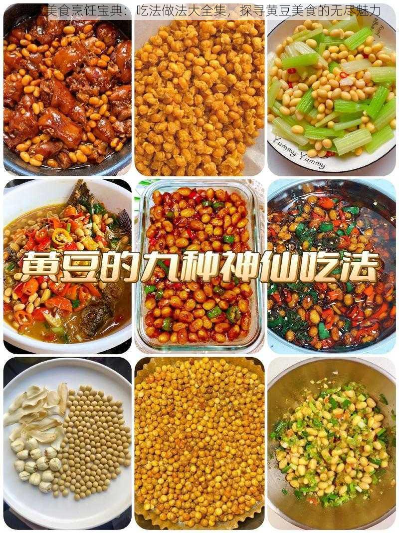 黄豆美食烹饪宝典：吃法做法大全集，探寻黄豆美食的无尽魅力