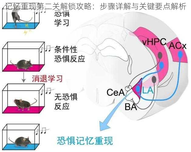 记忆重现第二关解锁攻略：步骤详解与关键要点解析