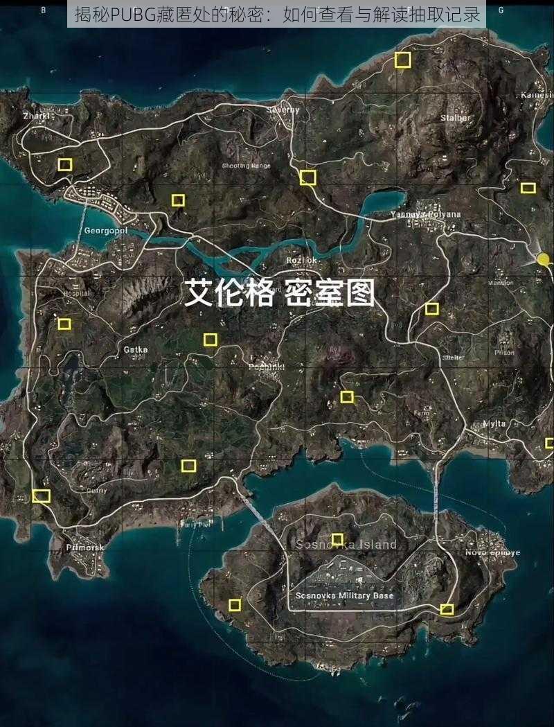 揭秘PUBG藏匿处的秘密：如何查看与解读抽取记录