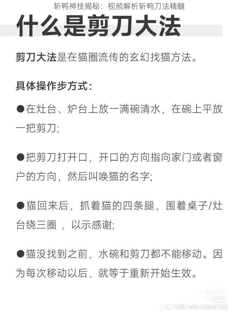 斩鸭神技揭秘：视频解析斩鸭刀法精髓