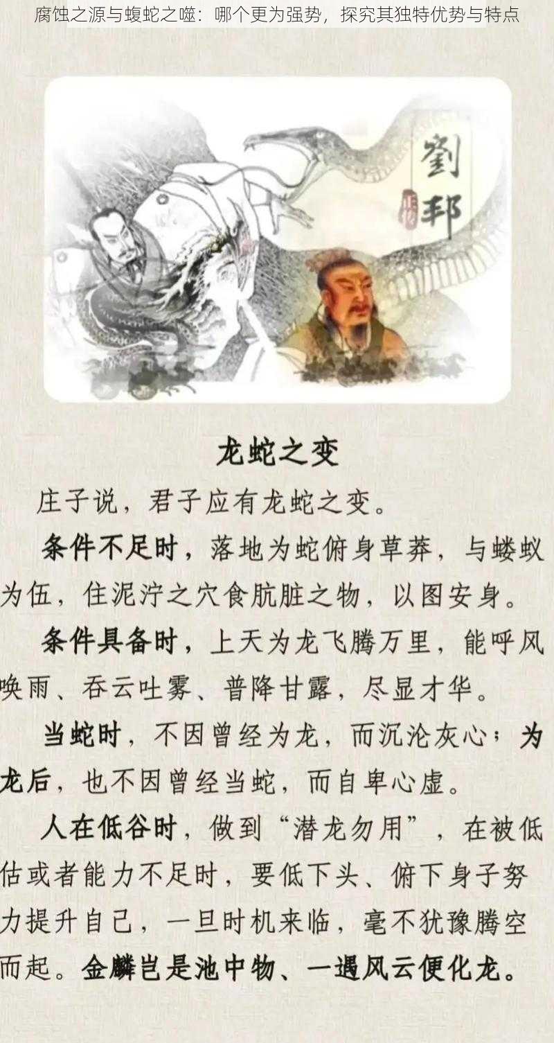 腐蚀之源与蝮蛇之噬：哪个更为强势，探究其独特优势与特点