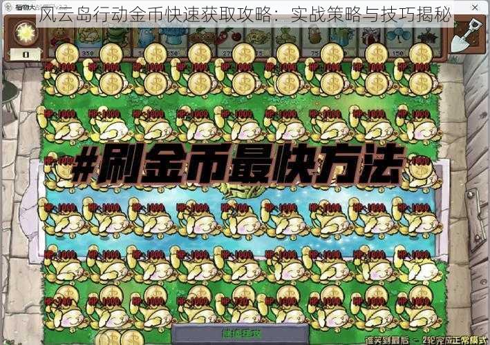 风云岛行动金币快速获取攻略：实战策略与技巧揭秘