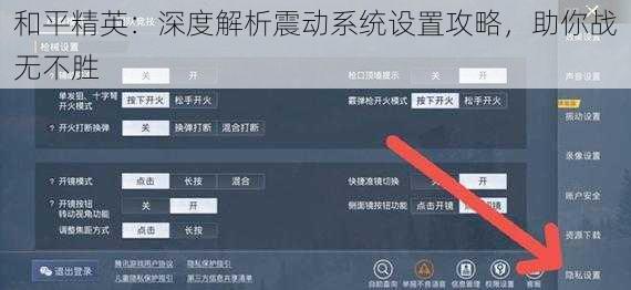 和平精英：深度解析震动系统设置攻略，助你战无不胜