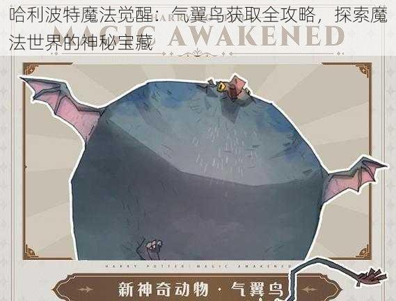 哈利波特魔法觉醒：气翼鸟获取全攻略，探索魔法世界的神秘宝藏