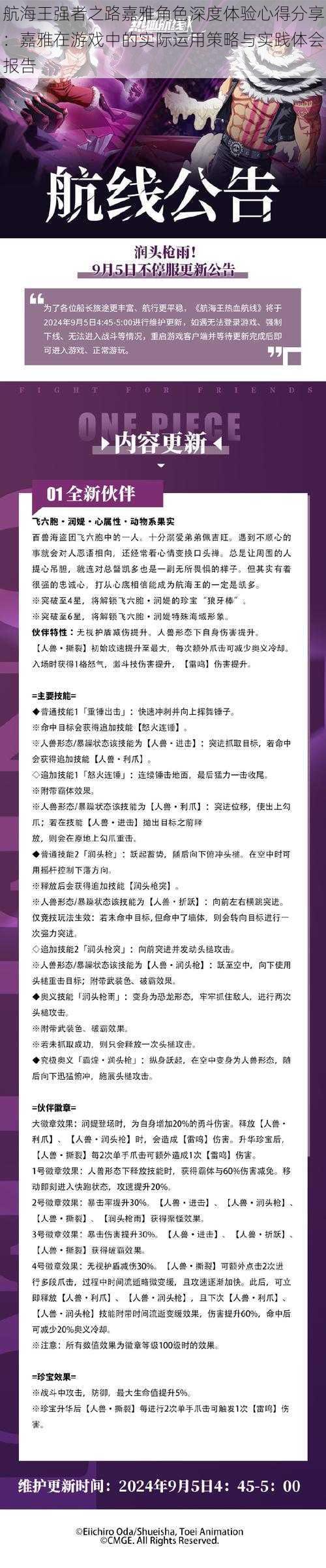 航海王强者之路嘉雅角色深度体验心得分享：嘉雅在游戏中的实际运用策略与实践体会报告